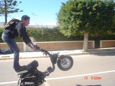 toujour salim